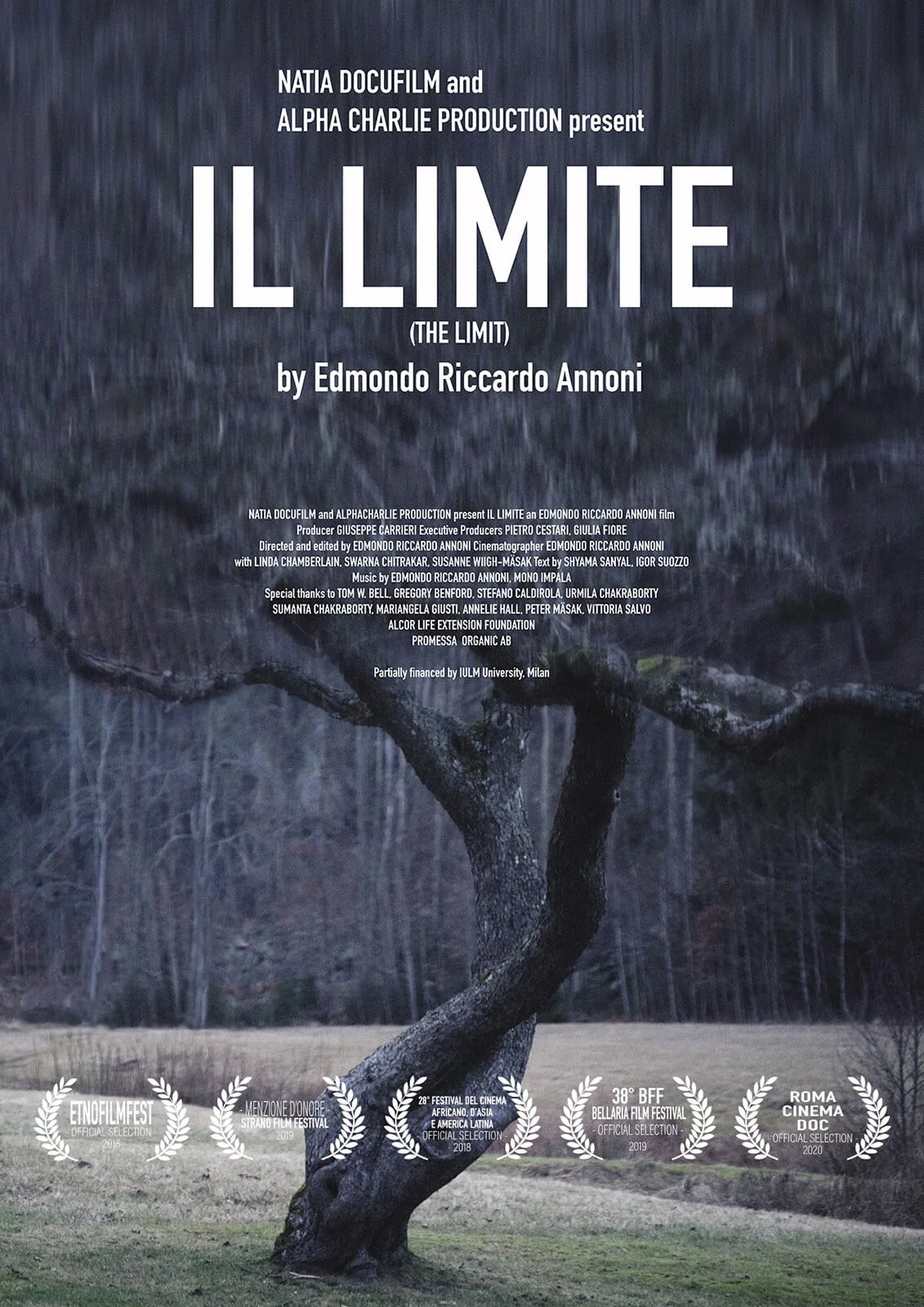 Poster for Il Limite by Edmondo Riccardo Annoni